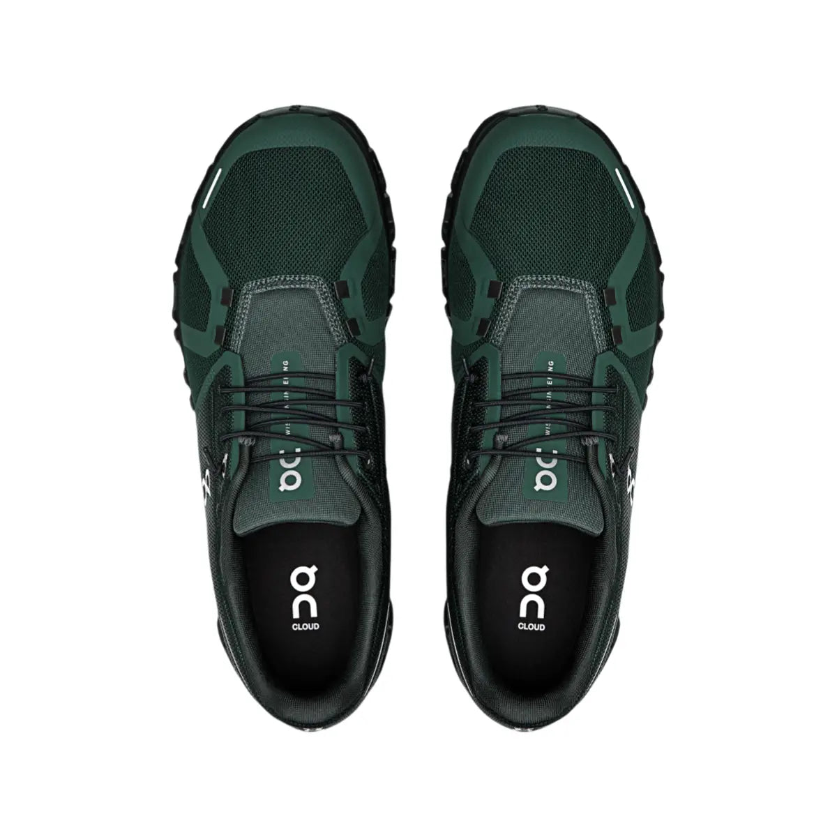 On Women's Cloud 6 Evergreen/Black
